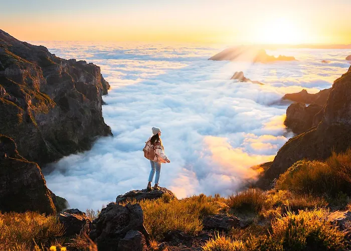 In Not Shared Apartment *